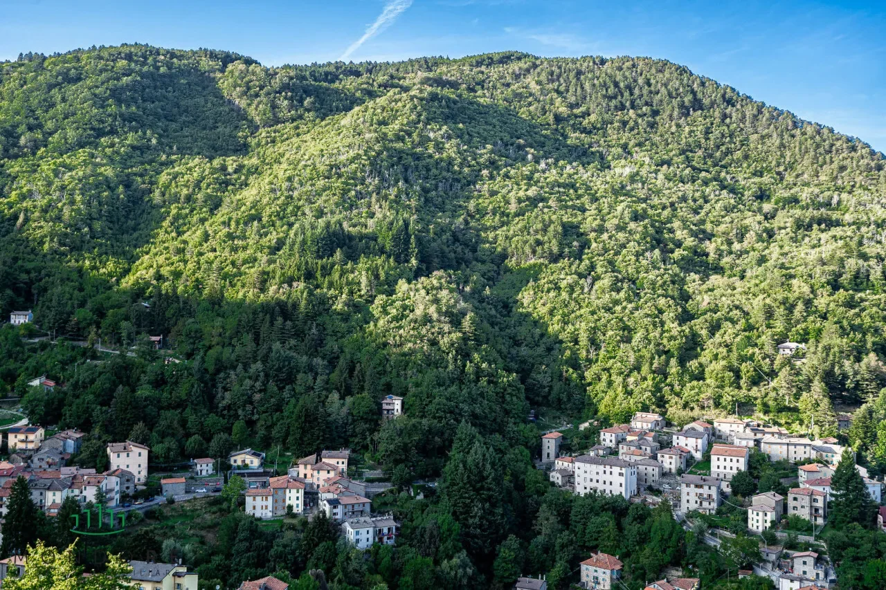 Granaglione, Granaglione, Emilia-Romagna, Italy. - Photo 70