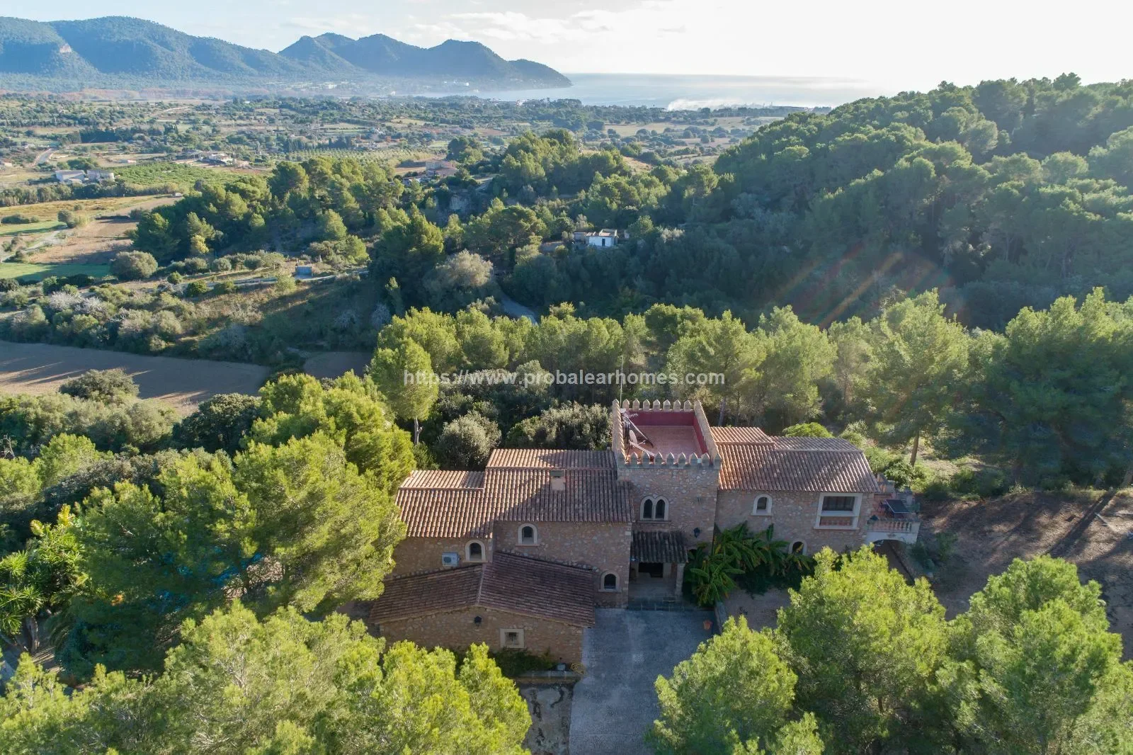 COSTA DE LOS PINOS, SON SERVERA, Baleares, SON SERVERA, Son Servera, Balearic Islands, Spain. - Photo 28
