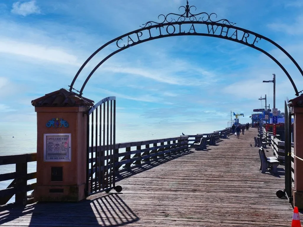 1610 Bulb Avenue, Santa Cruz, California, United States. - Photo 3