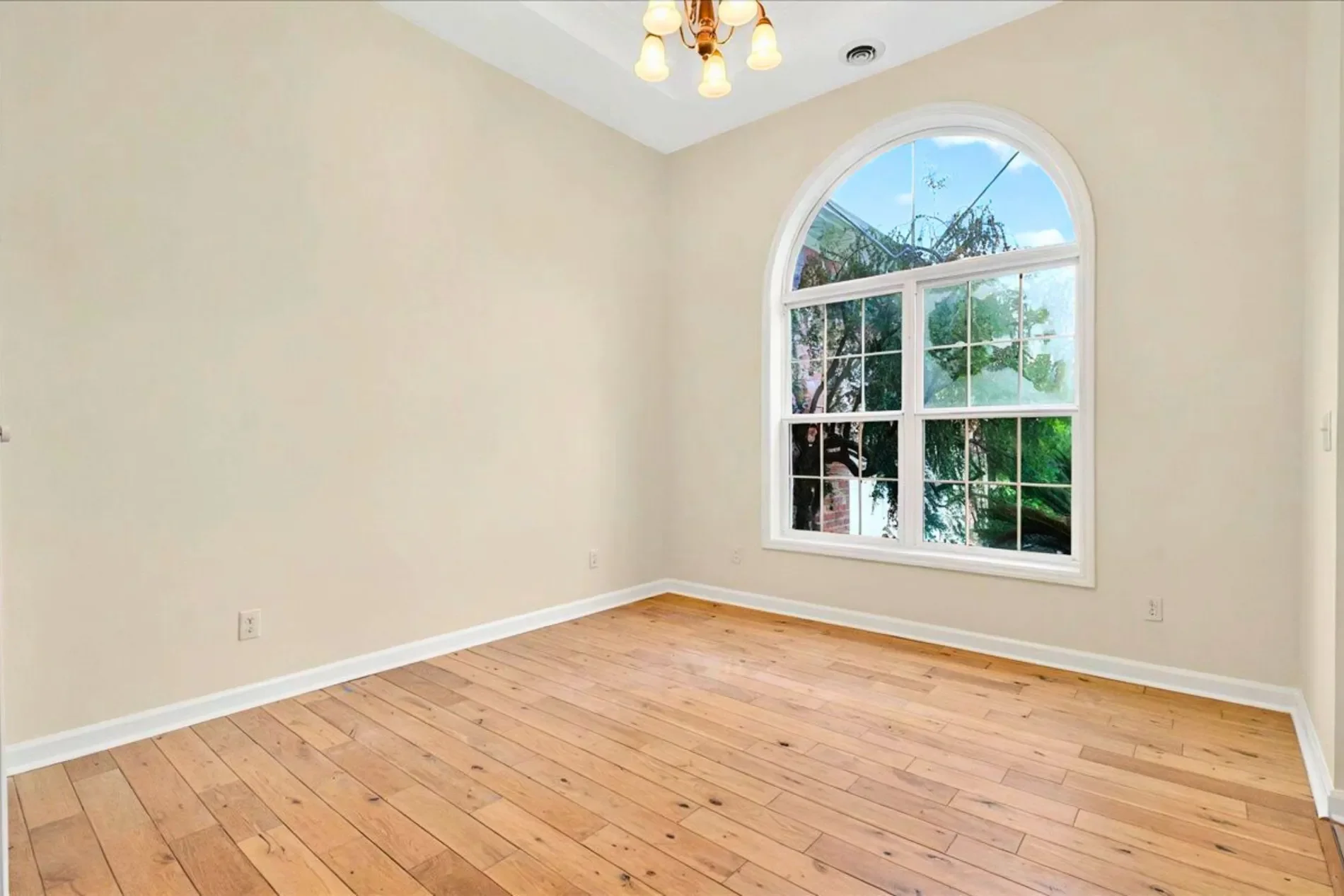 Gallery photo 6