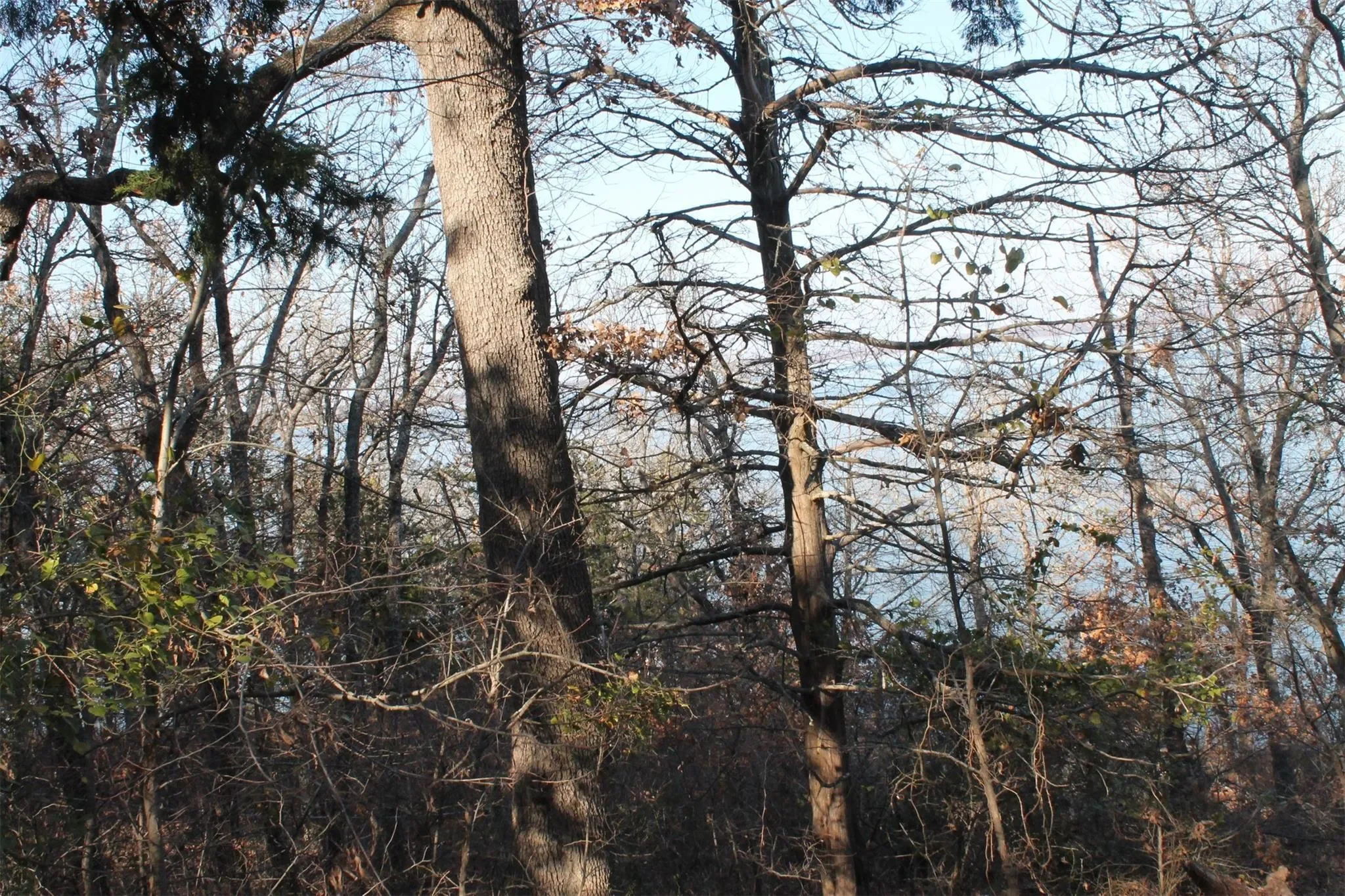 Gallery photo 6