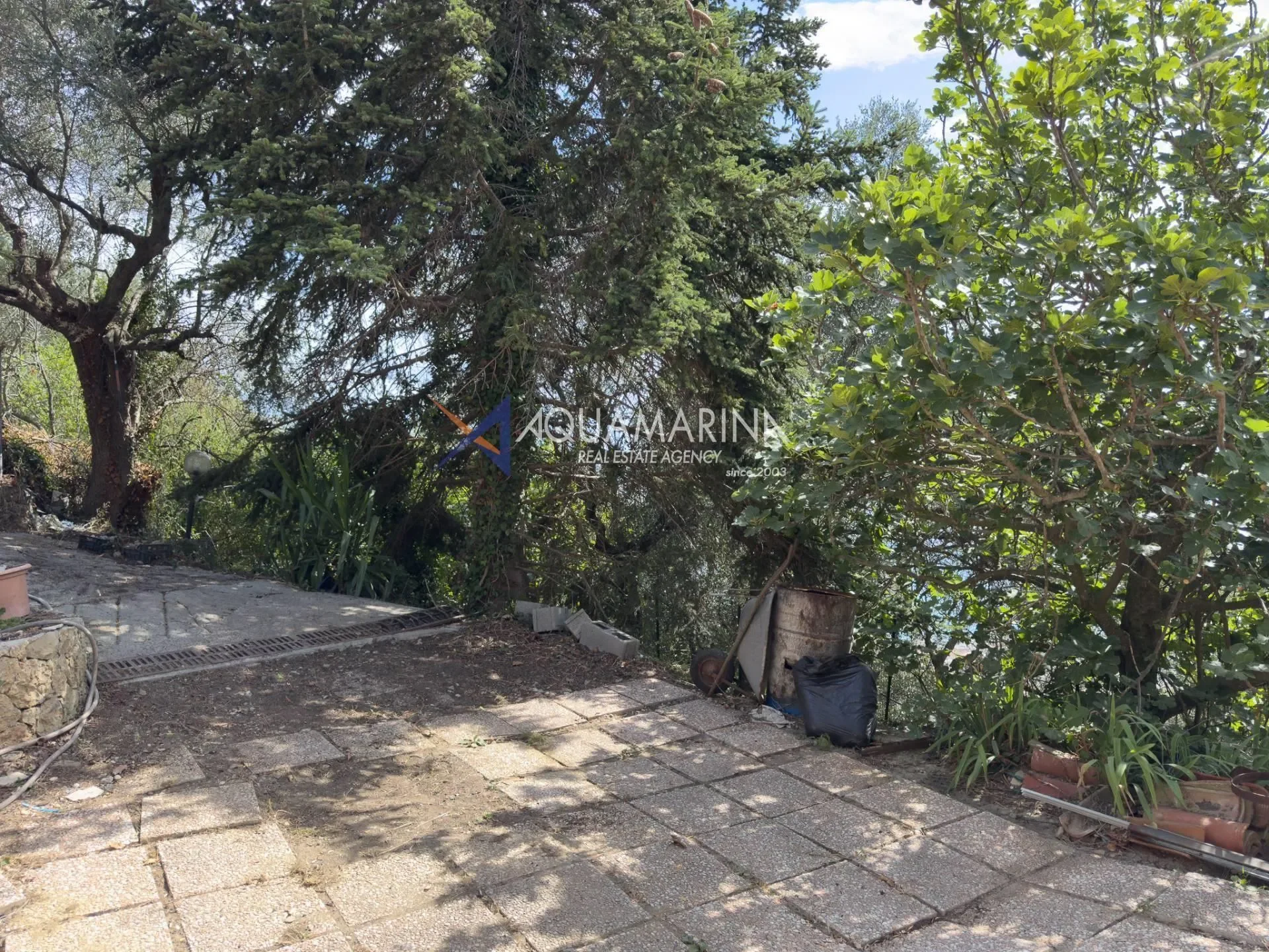 Camporosso, Liguria, Italy. - Photo 16