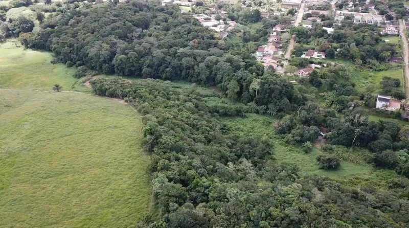 Camaragibe, State of Pernambuco, Brazil, Camaragibe, State of Pernambuco, Brazil. - Photo 11