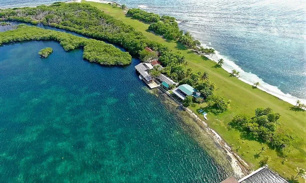 Gallery photo 7