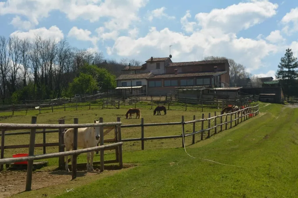 15051 Carezzano AL, Italy, Carezzano Superiore, Piedmont, Italy. - Photo 6