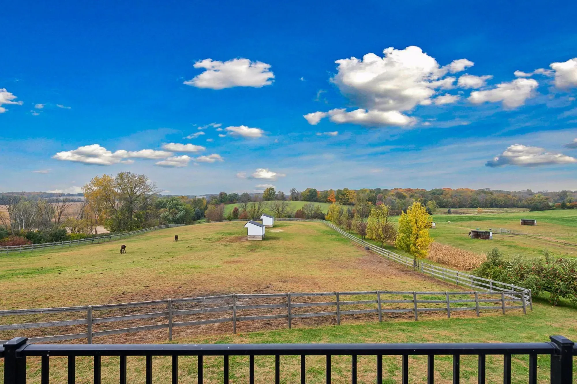 9685 County Road 13 SE, Franklin Twp, MN 55328, Delano, Minnesota, United States. - Photo 65