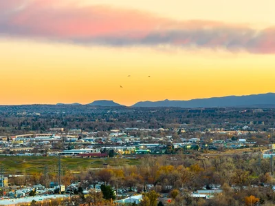 Thumbnail 36