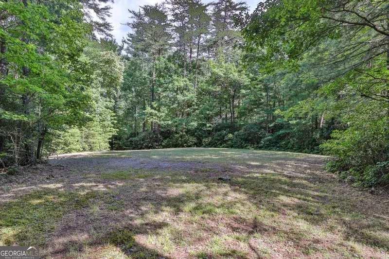 51+ ACRE Mountain Cove Way #1-8, Cherry Log, GA 30522, Cherry Log, Georgia, United States. - Photo 26