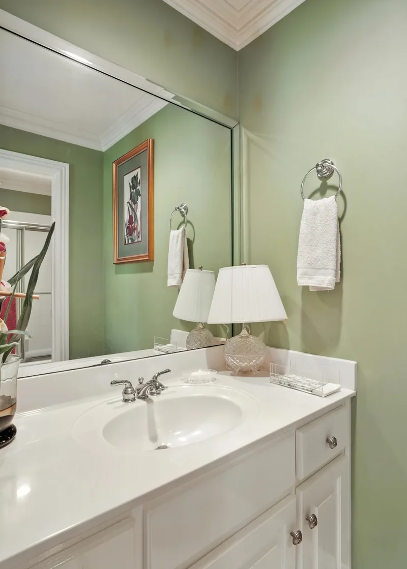 216 Lake Ridge Ct, Franklin, TN 37069, Franklin, Tennessee, United States. - Photo 60