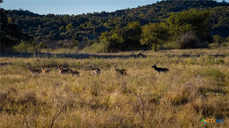 7702 Ranch Road 965, Llano, TX 78643, Llano, Texas, United States. - Photo 3