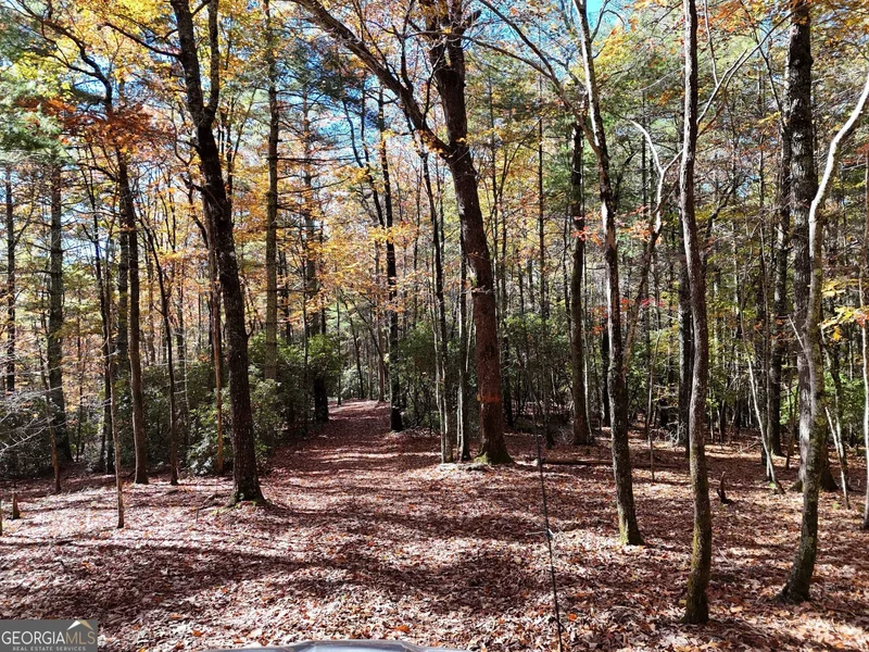 80.62 AC Morganton Hwy, Suches, GA, 30572, USA, Suches, Georgia, United States. - Photo 25
