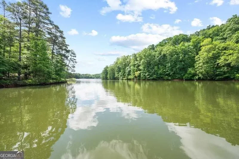 380 Fredericks Cove, Dawson, Georgia, United States. - Photo 67
