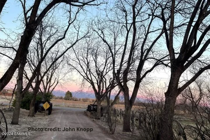2090 Snow Road, Mesilla, NM 88046, Mesilla, New Mexico, United States. - Photo 53
