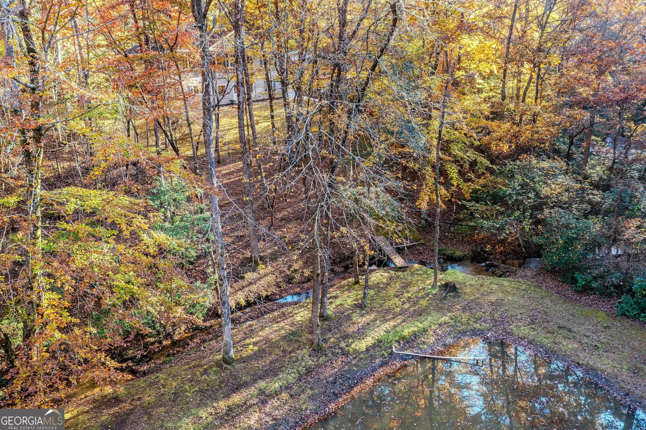 339 Wehunt RD, Blue Ridge, Georgia, United States. - Photo 67