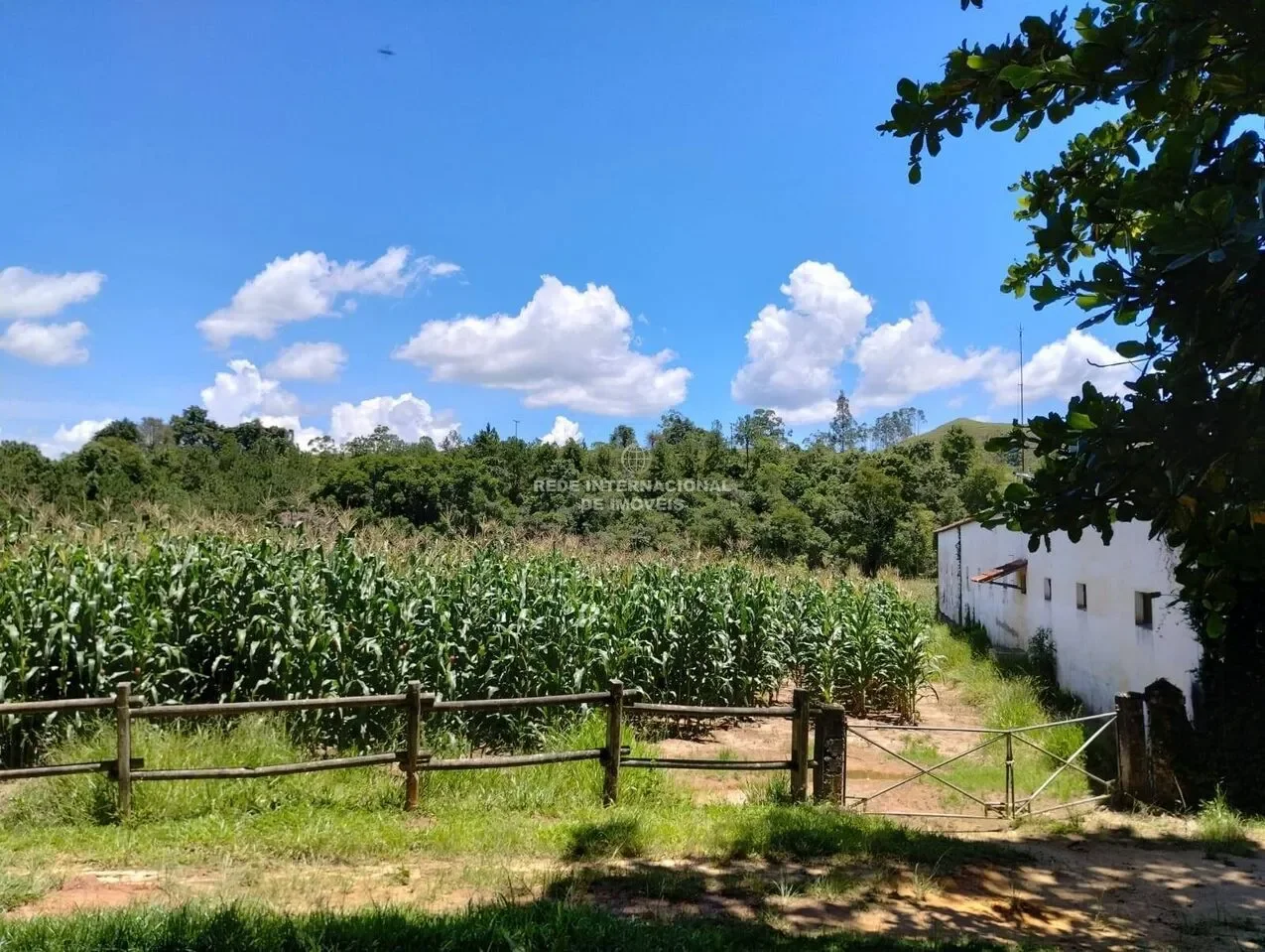 Arapeí, State of São Paulo, Brazil. - Photo 2