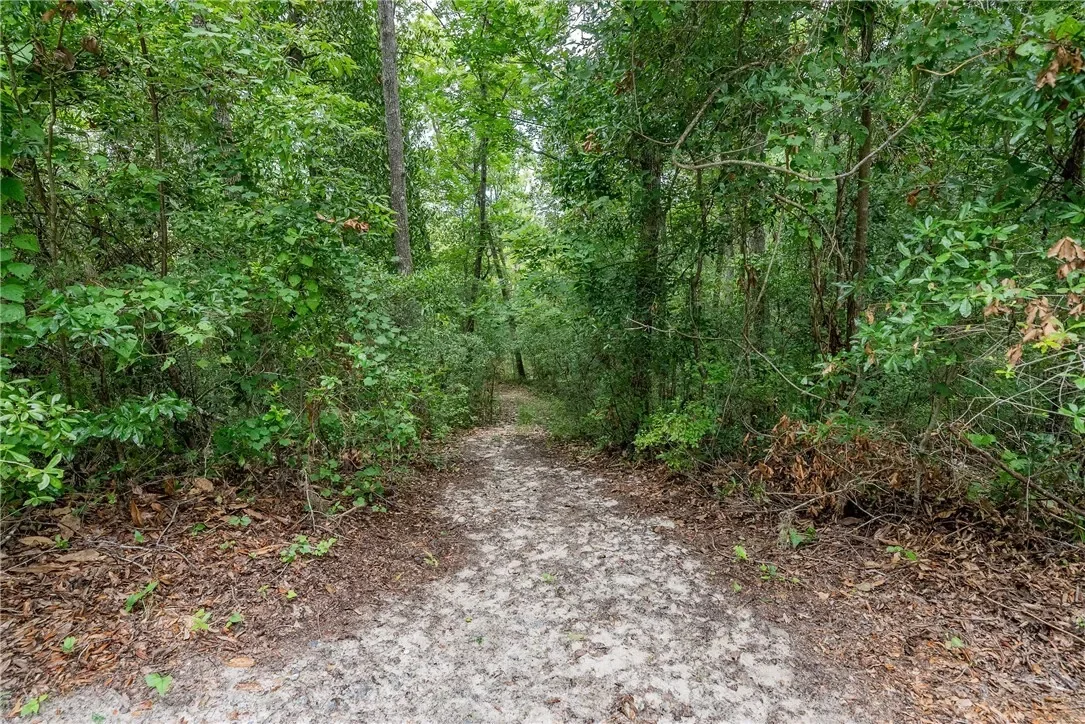1360 Douglas Fish Camp Road, White Oak, GA 31568, White Oak, Georgia, United States. - Photo 21