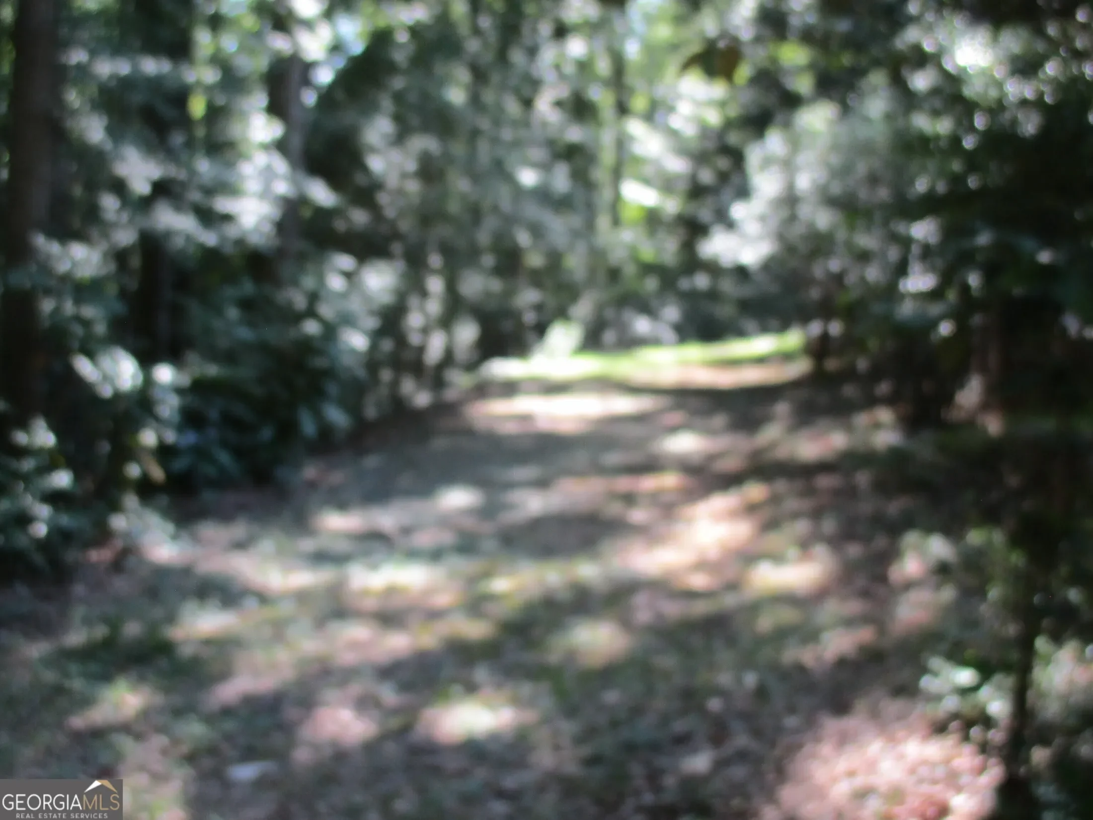 Commerce, Georgia, United States. - Photo 6