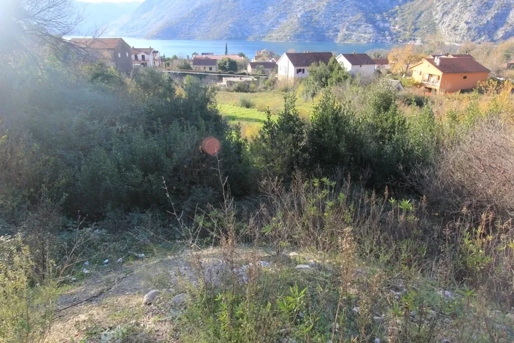 Kotor, Risan, Kotor Municipality, Montenegro. - Photo 3