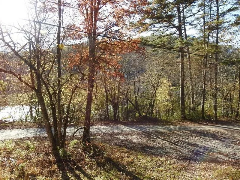 Land  Single Family Acreage