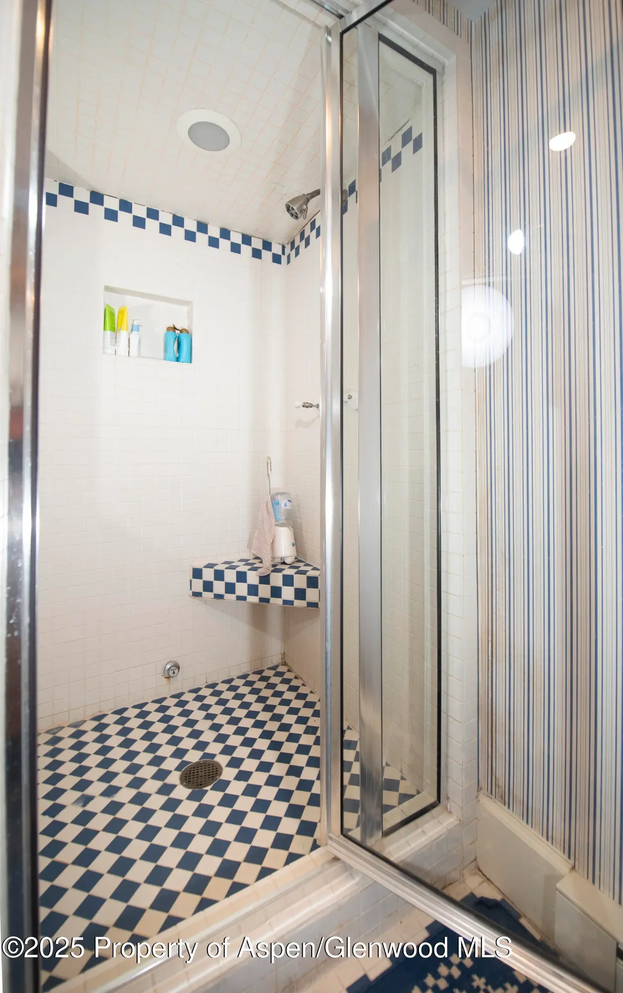 715 W Smuggler Street, Aspen, Colorado, United States. - Photo 9