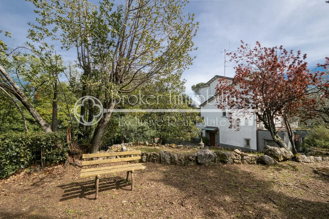 Gallery photo 5