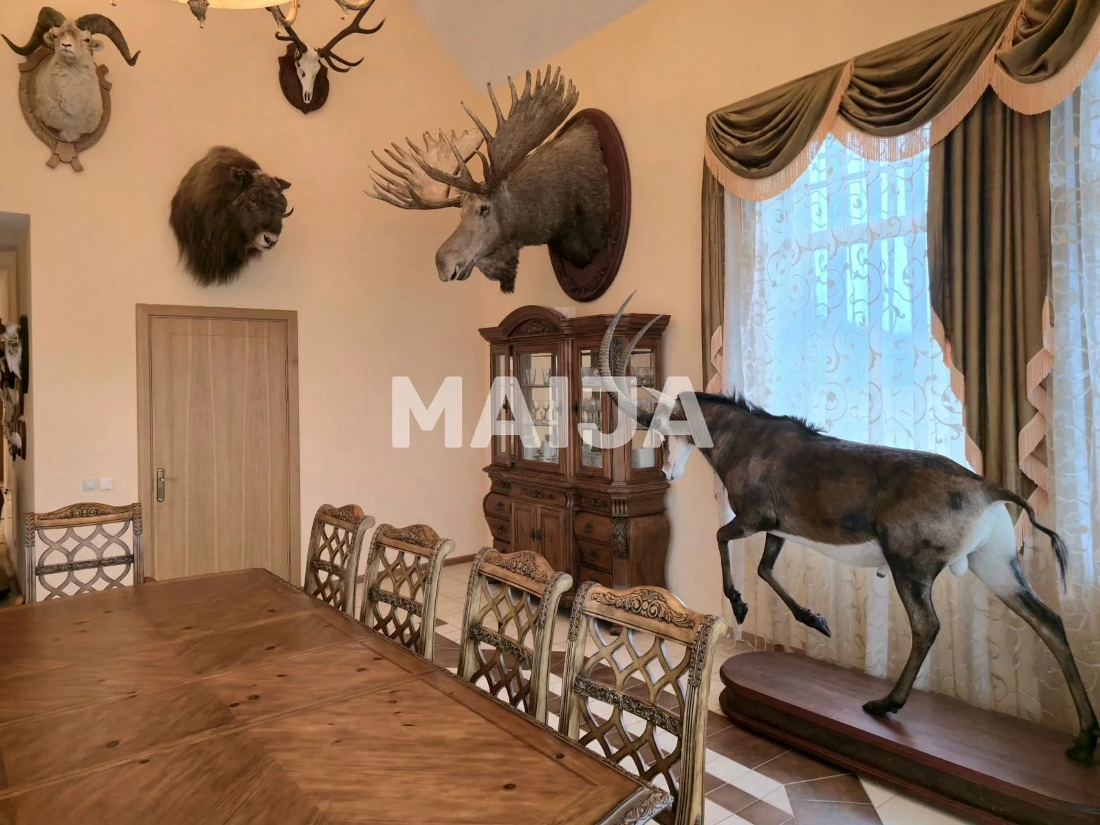Gallery photo 4