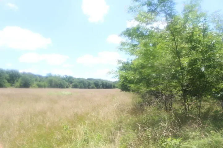 3176 S 170th Road, Polk, MO 65727, Bolivar, Missouri, United States. - Photo 44