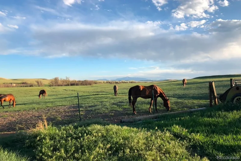 6597 S State Highway 83, Franktown, Colorado, United States. - Photo 9