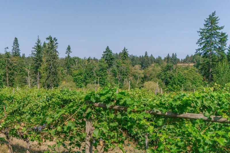 2300 East Wellington Road, Nanaimo, BC V9R6V7, Nanaimo, British Columbia, Canada. - Photo 46