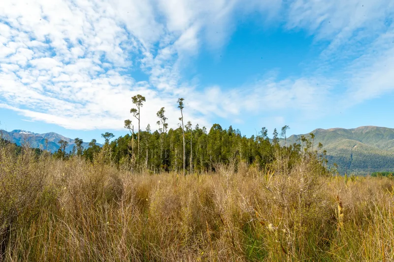 847 Lake Brunner Road, Moana, Grey, WTC 7875, Moana, West Coast, New Zealand. - Photo 19
