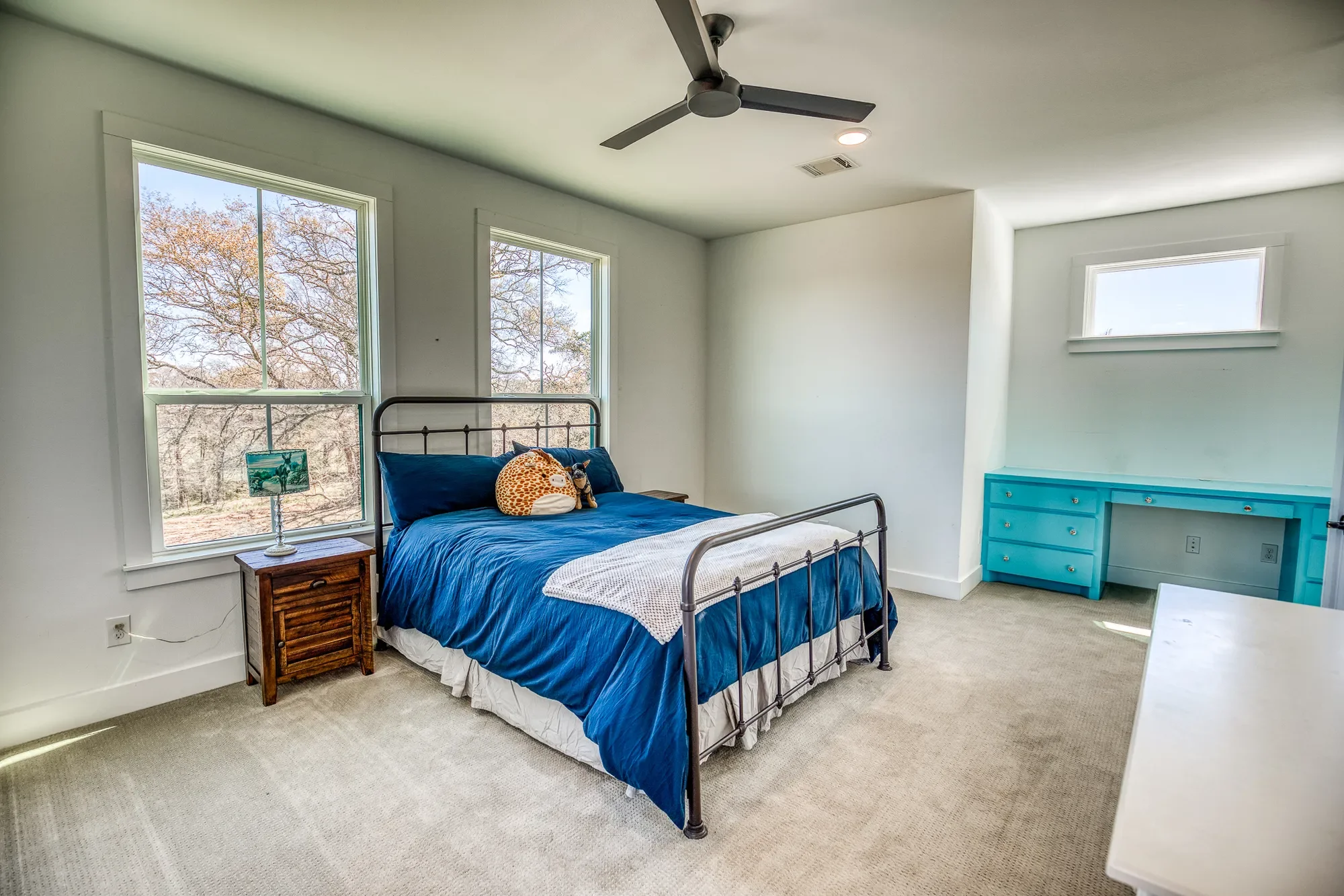 17677 Tranquil Ln , Cat Spring, TX 78933, Cat Spring, Texas, United States. - Photo 53