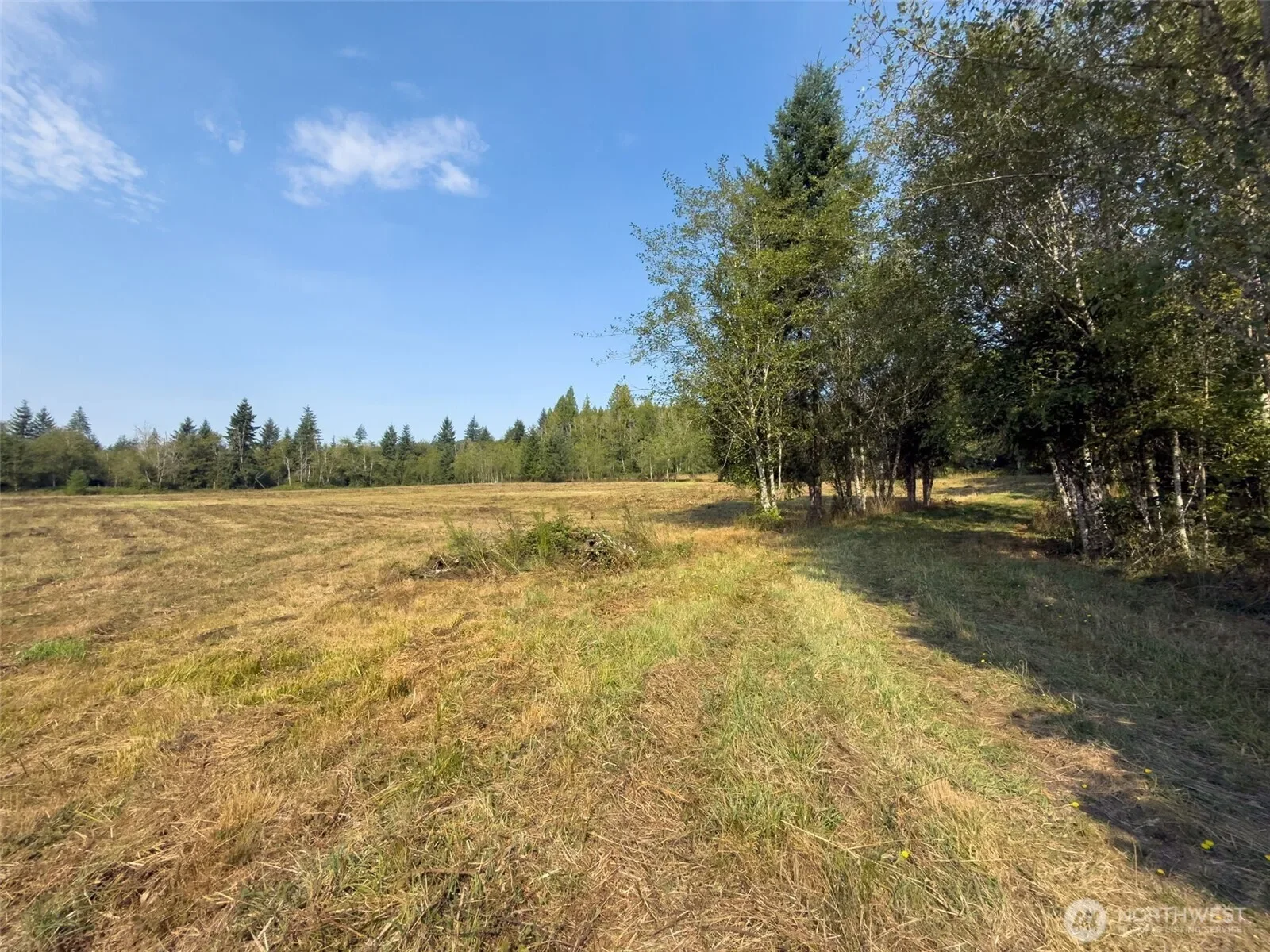 104 Bills Lane, Onalaska, WA 98570, Onalaska, Washington, United States. - Photo 12