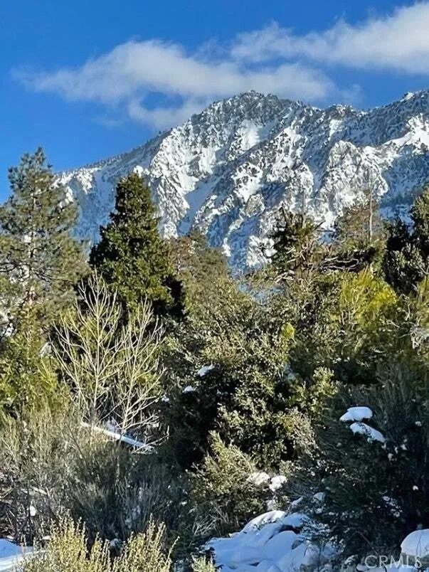 41560 Alder Drive, Forest Falls, CA 92339, Forest Falls, California, United States. - Photo 57