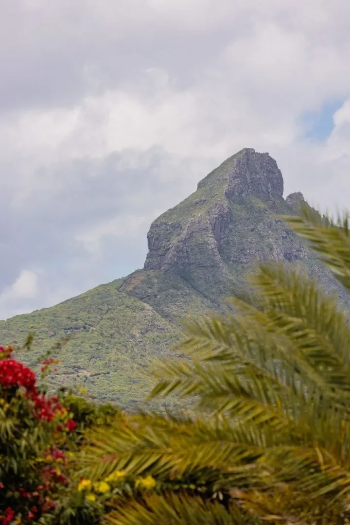 Tamarin, Rivière Noire District, Mauritius. - Photo 21