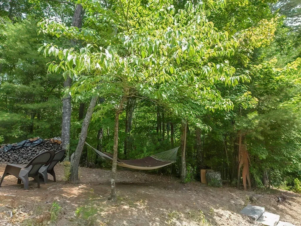 35 Leatherwood Mountain Road, Cherry Log, Georgia, United States. - Photo 38