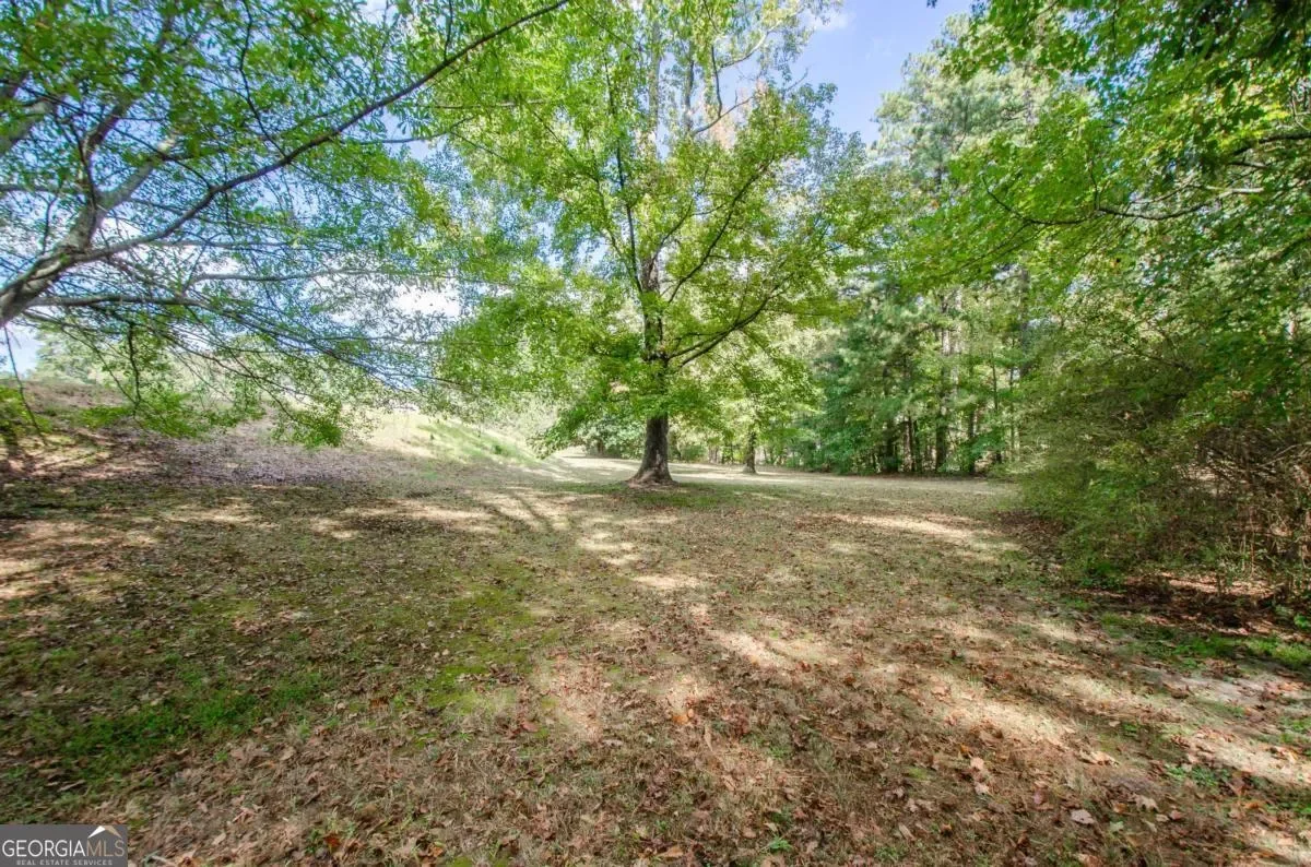 Lawrenceville, Georgia, United States. - Photo 47