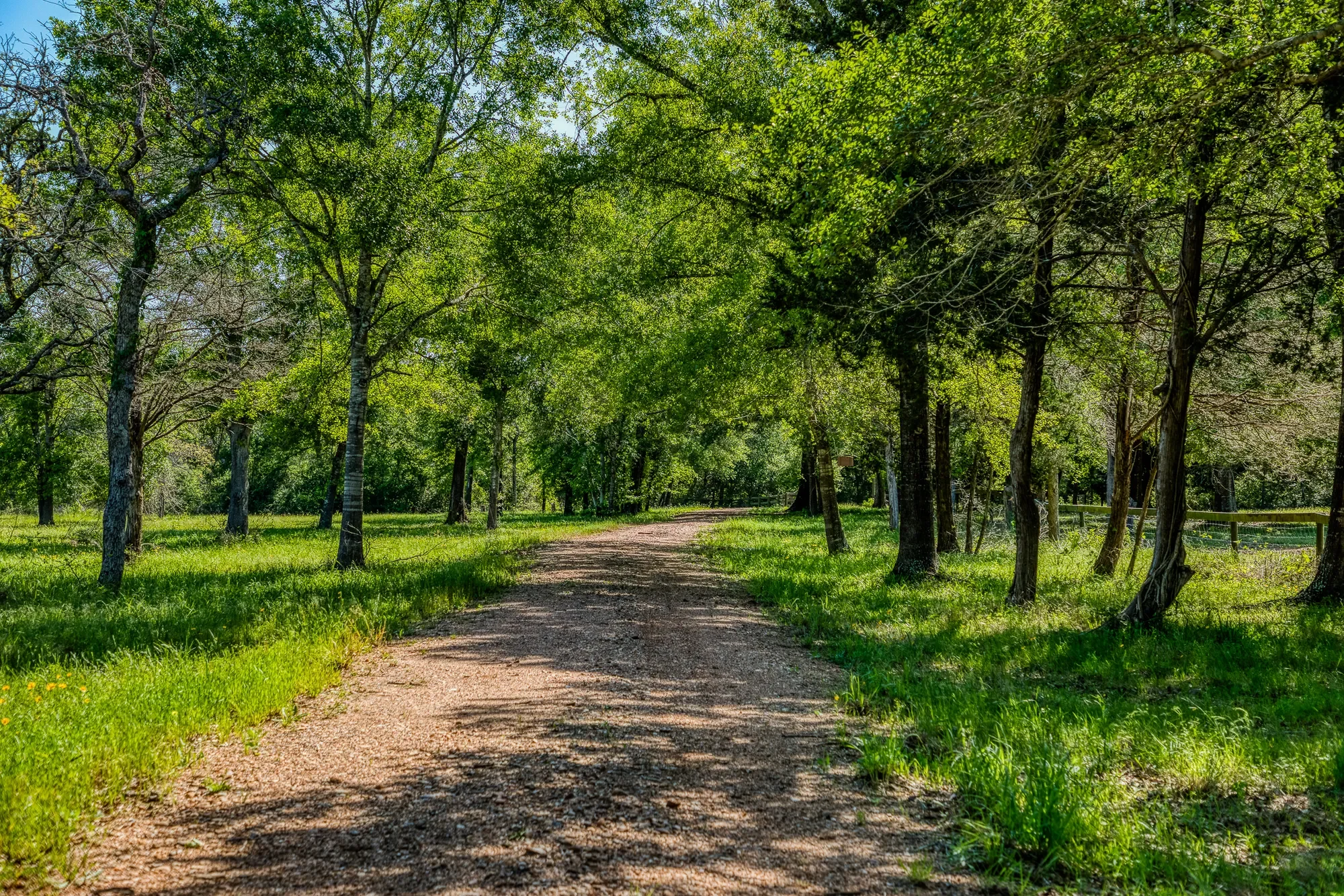 6925 S Sycamore Crossing Rd A , Bellville, TX 77418-3134, Bellville, Texas, United States. - Photo 6