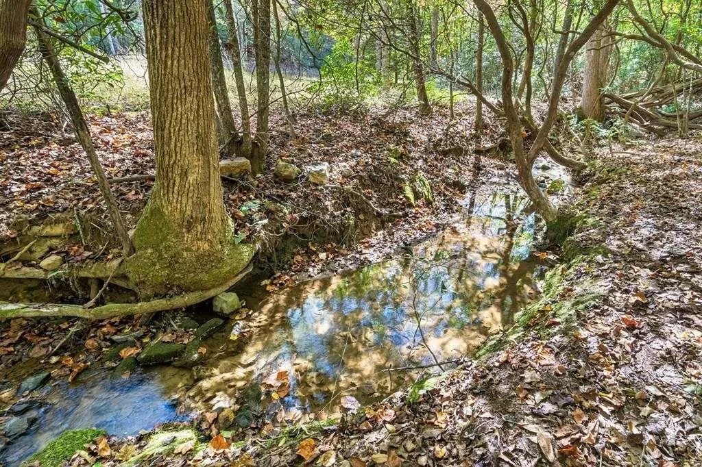217 Goldmine Road, Morganton, United States. - Photo 36