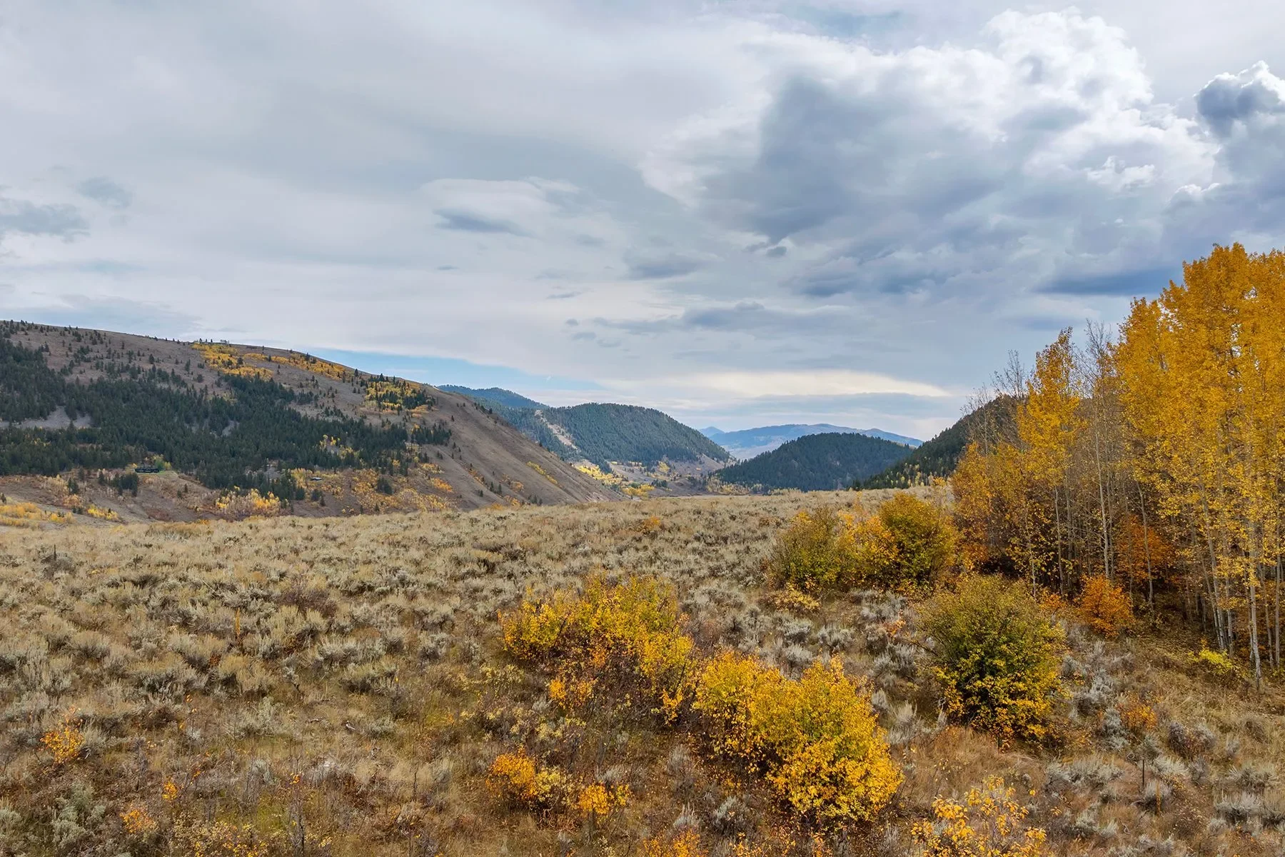 1850 W Bohnetts Road , Jackson, WY 83001, Jackson, Wyoming, United States. - Photo 3