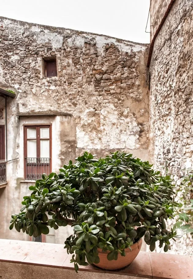 Sicily, Palermo, Sicily, Italy. - Photo 27