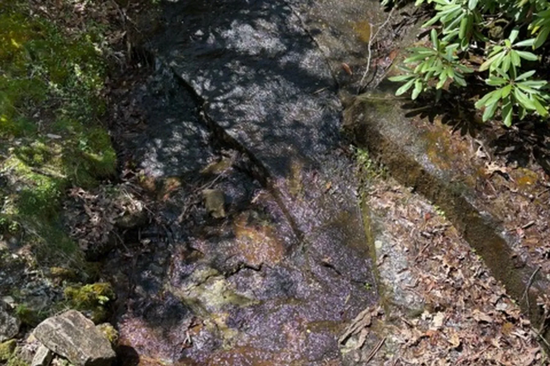 199 Springhead Trail, Cullowhee, NC 28723, Cullowhee, North Carolina, United States. - Photo 34