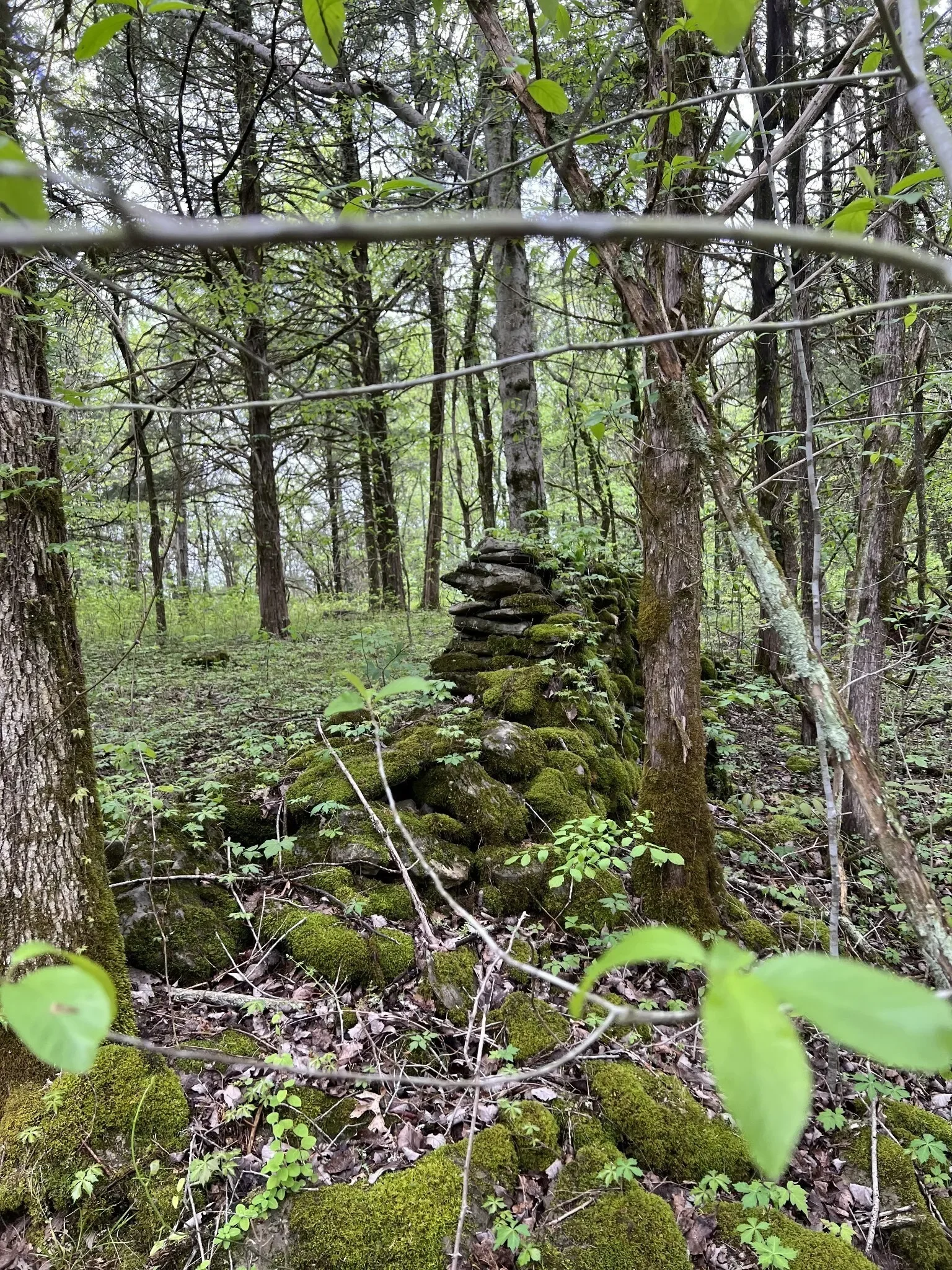 0 Huff Hollow Rd , Granville, TN 38564, Granville, Tennessee, United States. - Photo 15