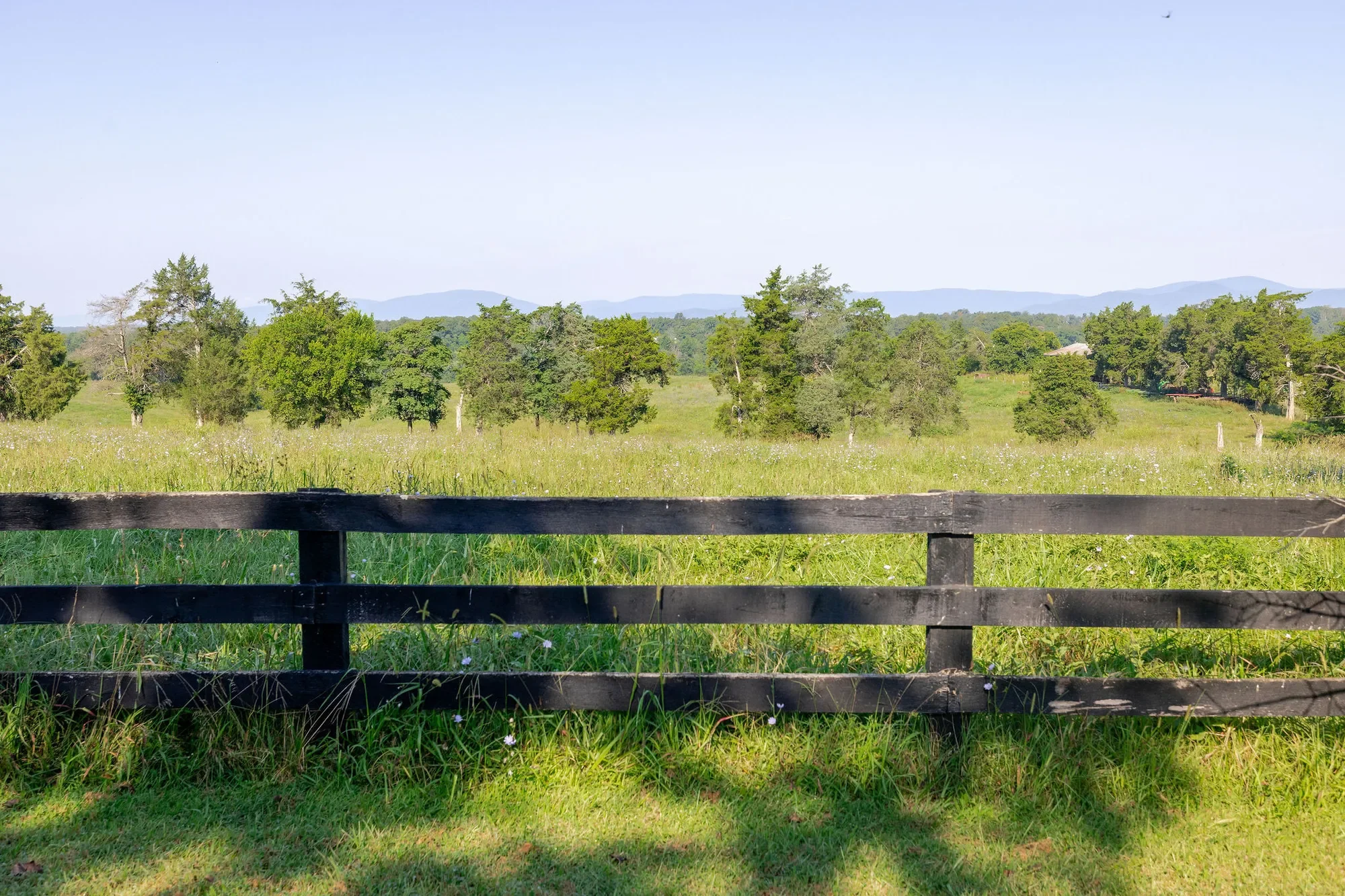 3260 Earlysville Rd, Earlysville, VA 22936, Earlysville, Virginia, United States. - Photo 27