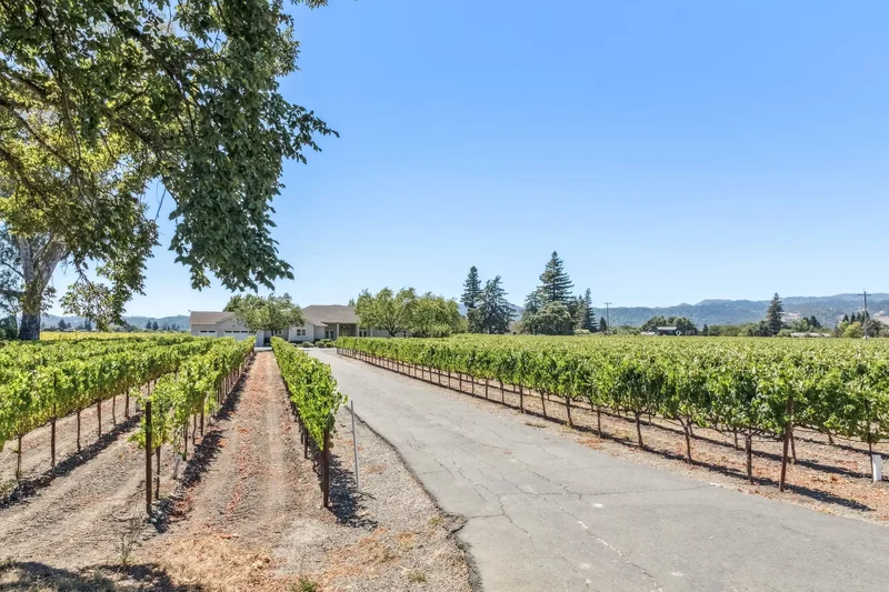 4125 Big Ranch Road , Napa, CA 94558, Napa, California, United States. - Photo 79