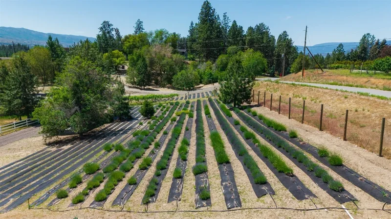 2375 Grantham Road, Kelowna, BC, V1W4B7, CANADA, Kelowna, British Columbia, Canada. - Photo 48