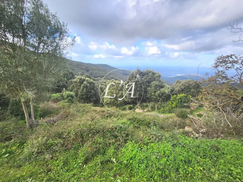 Coti-Chiavari, Corsica, France. - Photo 15