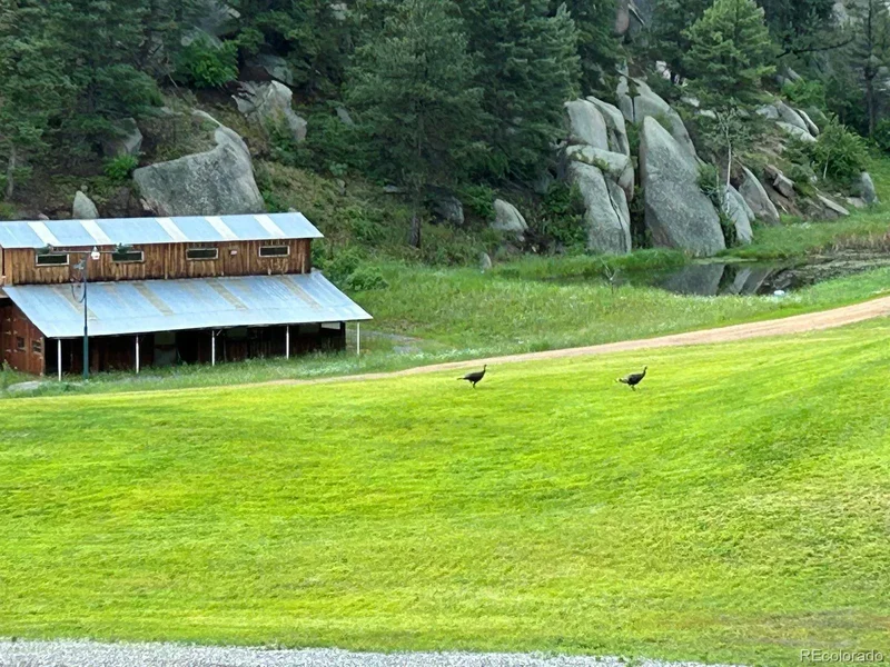 60 N County Highway 67, Sedalia, Colorado, United States. - Photo 32