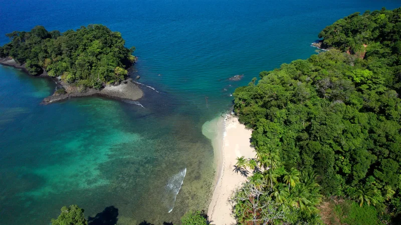 Isla Parida, Chiriquí Province, Panama, Isla Parida, Chiriquí Province, Panama. - Photo 24
