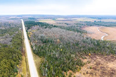 Thumbnail 19