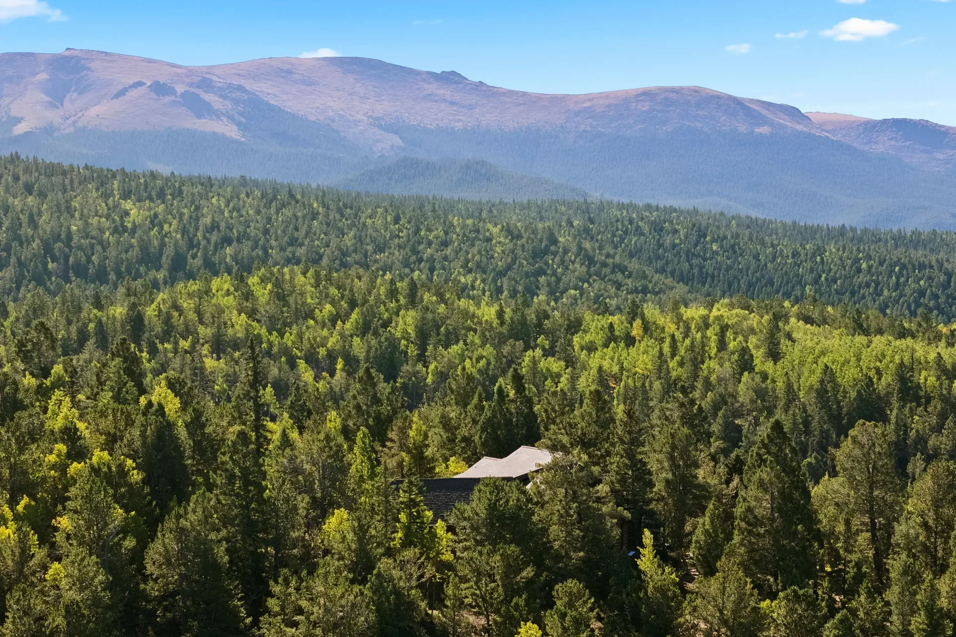 1010 Cantiberry Road , Divide, CO 80814, Westcreek, Colorado, United States. - Photo 6